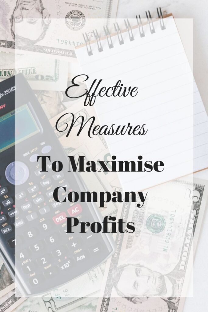 maximise company profits